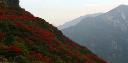 巫山神女天路红叶、奉节白帝城（船游瞿塘峡）