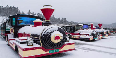 2021武隆仙女山滑雪、养生温泉度假二日游