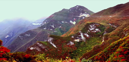 【巫山红叶旅游团】神女