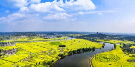 潼南菜花基地、双江古镇一日游（春游赏花）